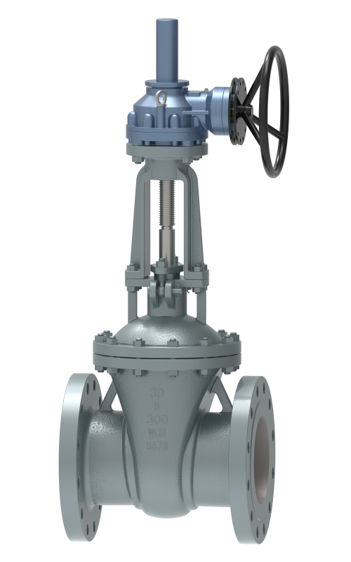 Gear operated Gate valves